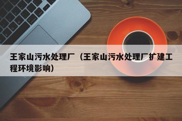 王家山污水处理厂（王家山污水处理厂扩建工程环境影响）