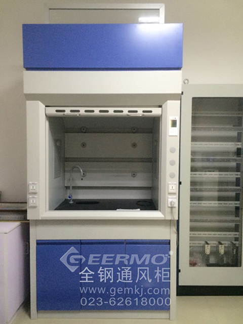 1686019817202075.jpg 全鋼通風(fēng)柜1.jpg